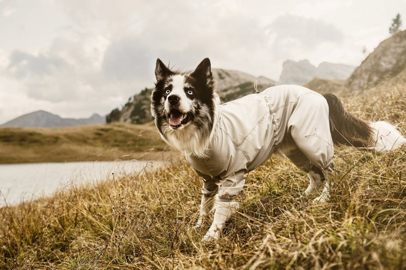 Sonnen- und Insektenschutz Overall - ACHTIVEDOG CH